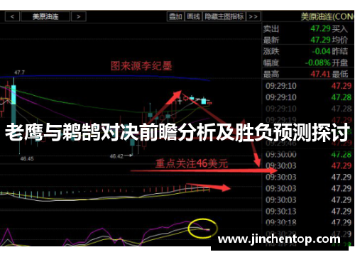 老鹰与鹈鹄对决前瞻分析及胜负预测探讨
