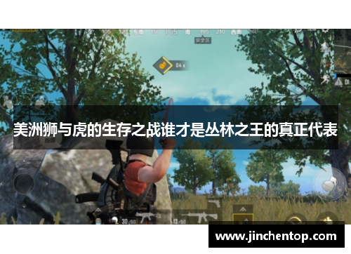 美洲狮与虎的生存之战谁才是丛林之王的真正代表